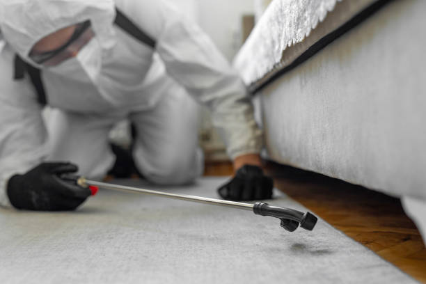 Professional Pest Control technician working in Cuero, TX