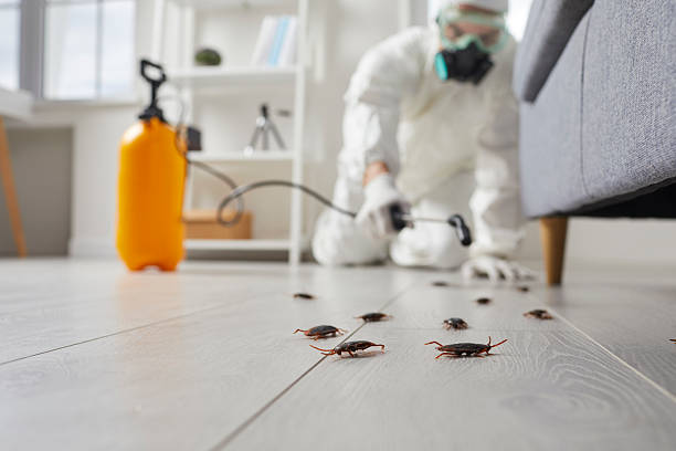 Affordable Pest Control solutions in Cuero, TX